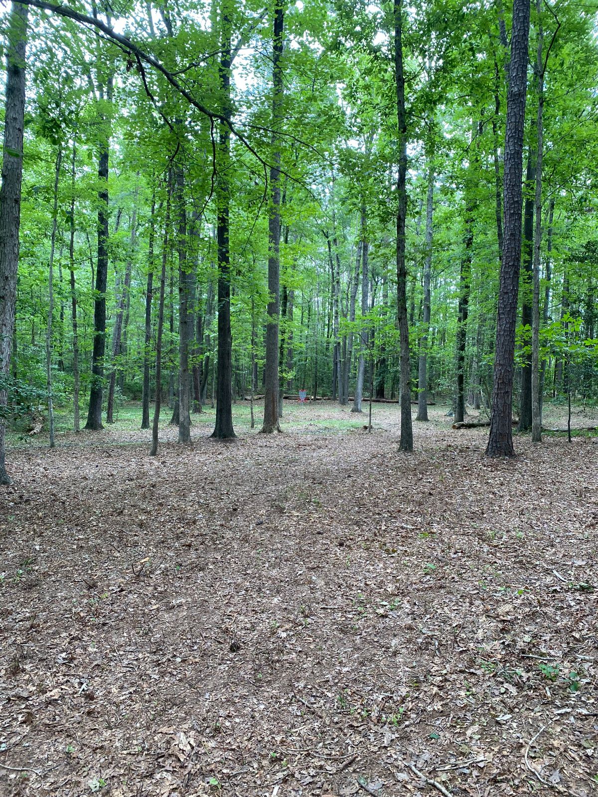 Dunncroft/Castle Point Park Glen Allen, VA UDisc Disc Golf Course