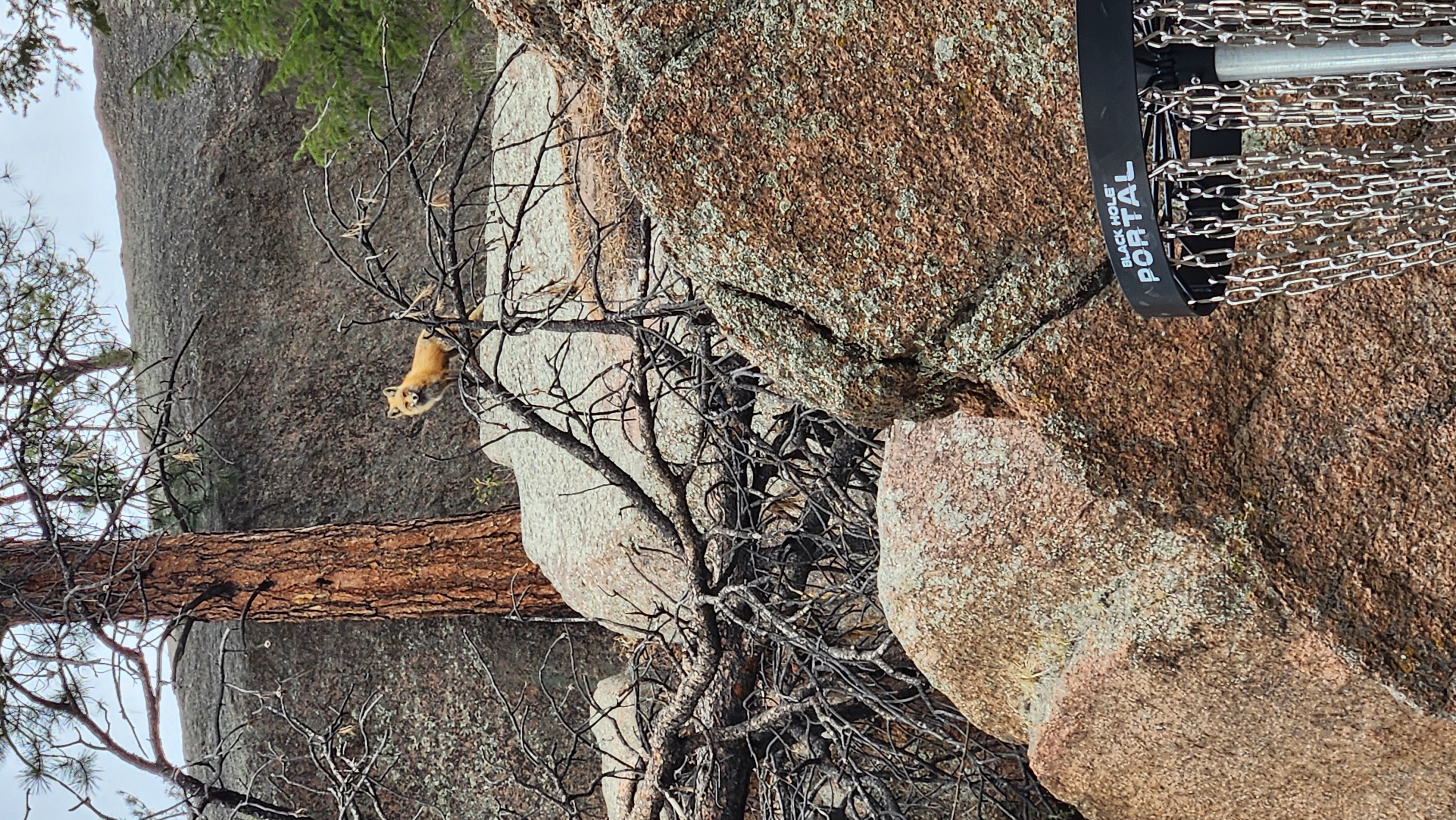 CLUBHAUS × NOCOFFEE NO GOLF NECK PISTE NO COFFEE × CLUBHAUS NO GOLF NECK PISTE