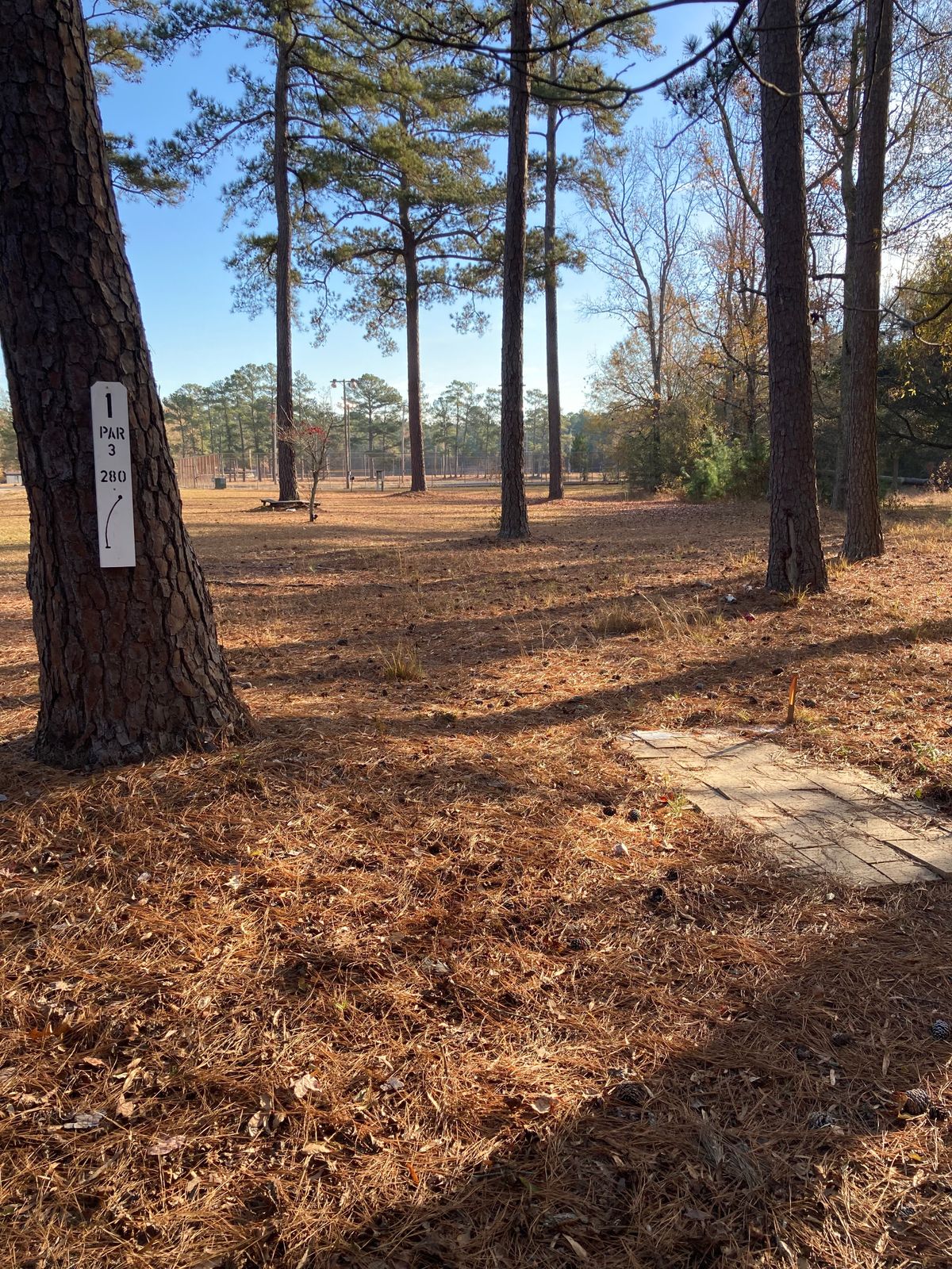 Woodward Park Camden, SC UDisc Disc Golf Course Directory UDisc