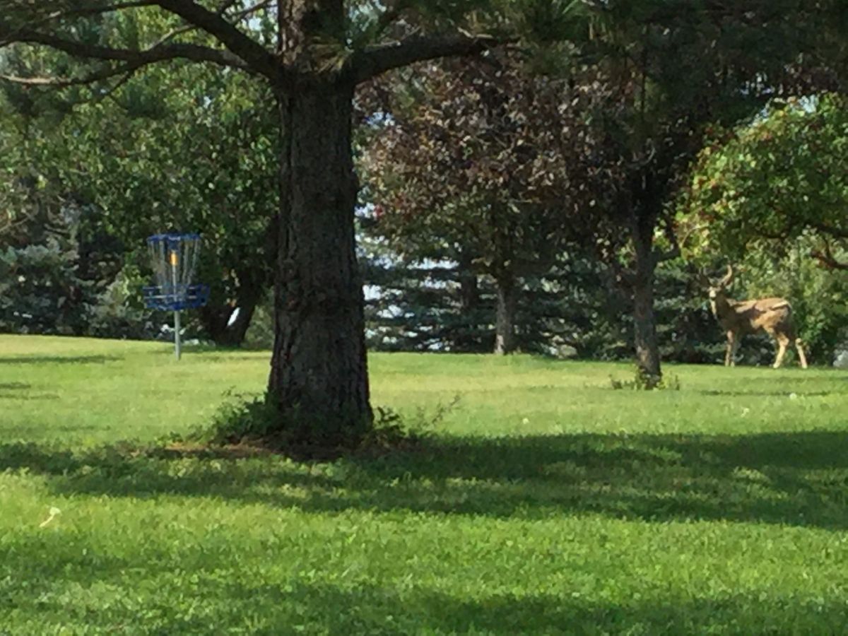 Energy Rotary Club Gillette, WY UDisc Disc Golf Course Directory