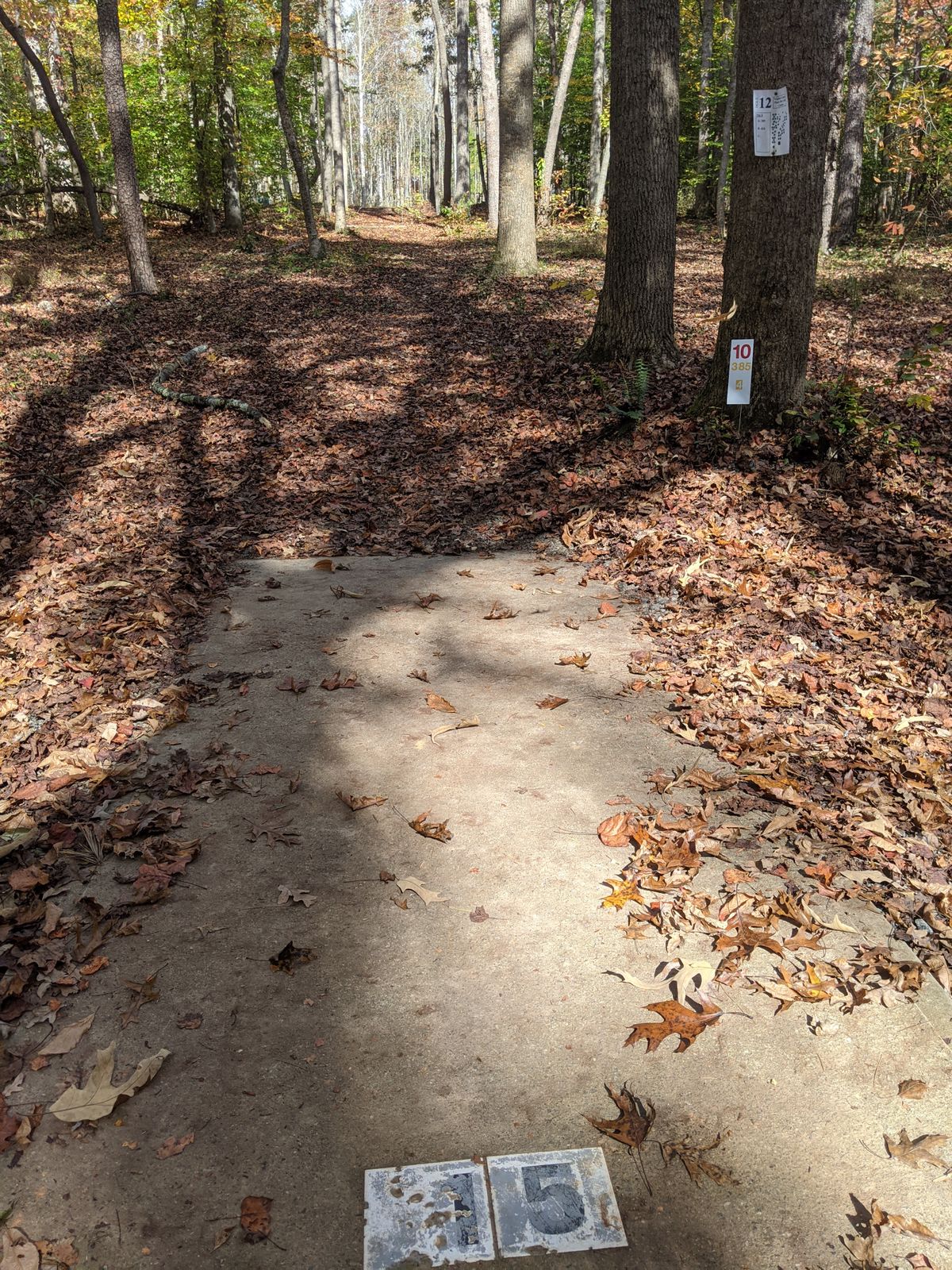 Yadkin County Park Yadkinville, NC UDisc Disc Golf Course Directory