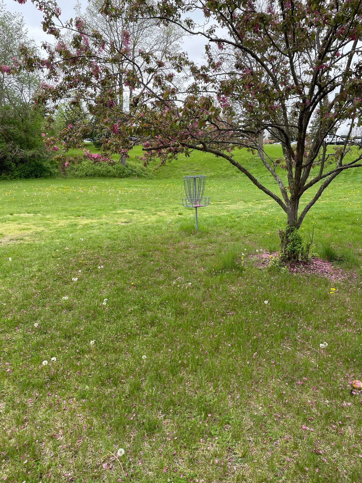 Concordia University Ann Arbor, MI UDisc Disc Golf Course Directory