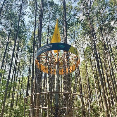 THE Diavolo DGC @ New Hope Park - Cary, North Carolina | UDisc