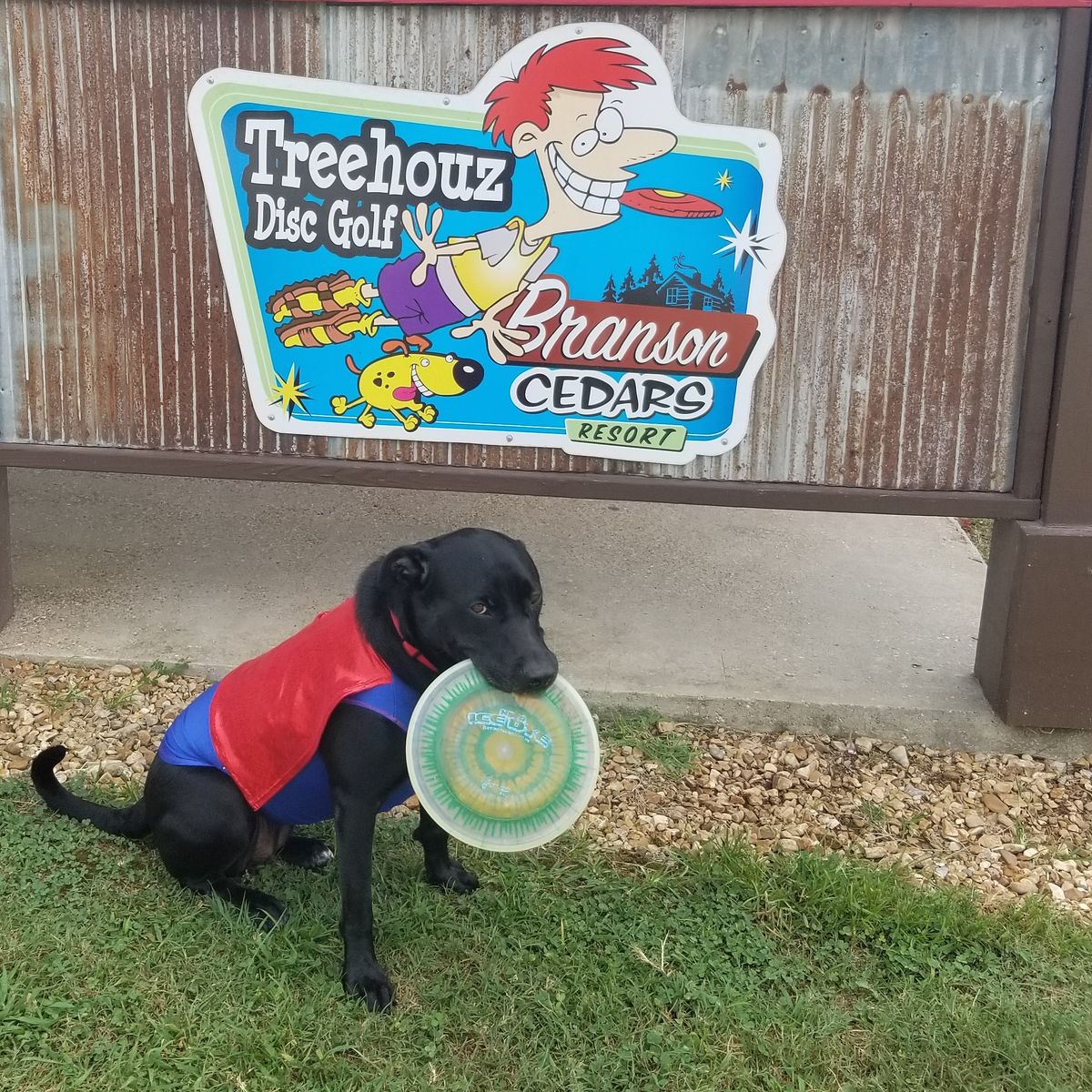 Branson Cedars Resort Treehouz Ridgedale, MO UDisc Disc Golf Course