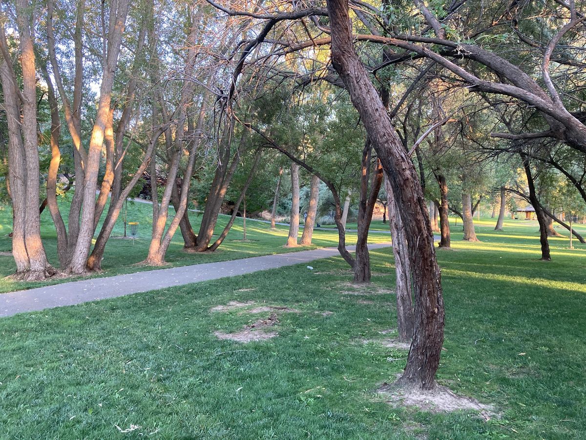 Dry Creek Trail Park Lehi, UT UDisc Disc Golf Course Directory