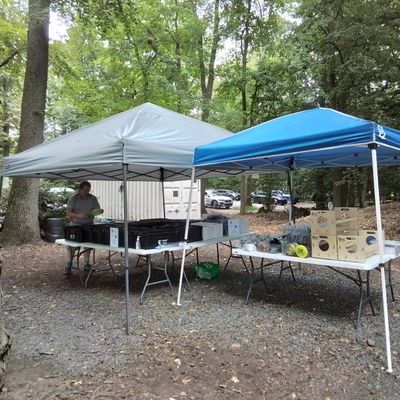 TDing and Vending at Stafford