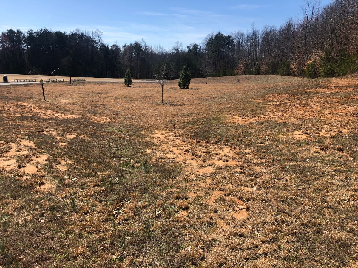 Stokesdale Community Park Course Photos