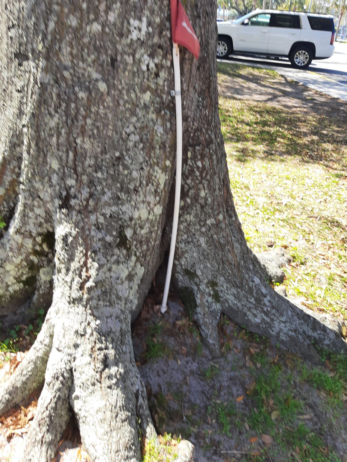 Isle Of Palms Recreation Isle of Palms, SC UDisc Disc Golf Course Directory