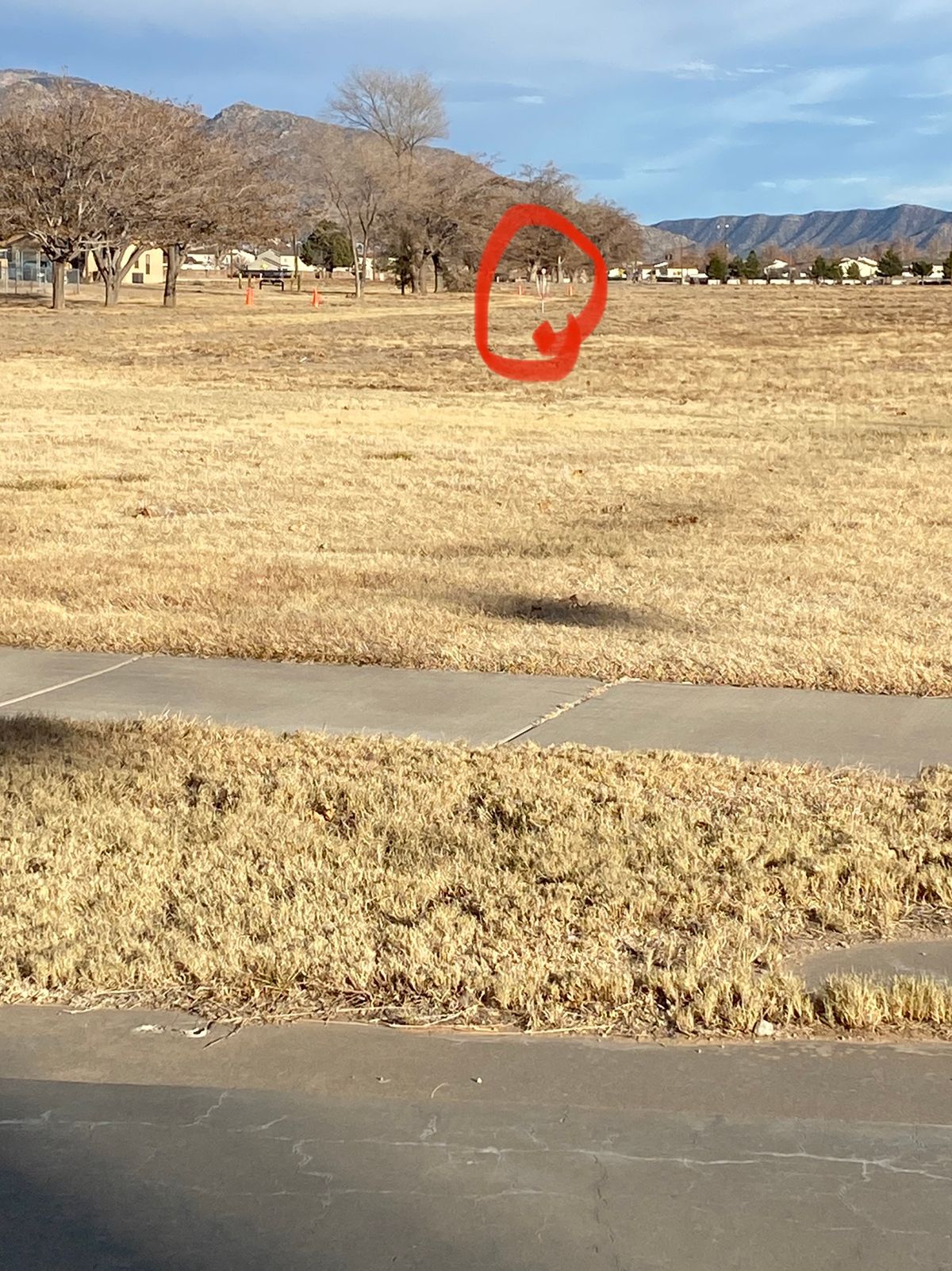 Kirtland ODR Disc Golf Course Albuquerque, NM UDisc Disc Golf Course Directory