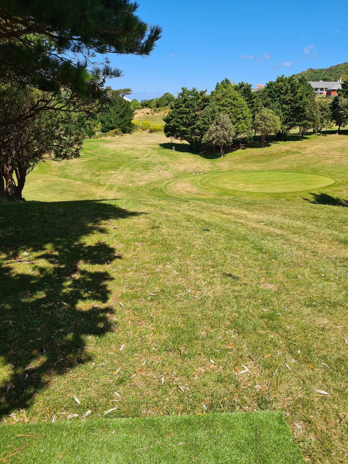 Berhampore Hills Disc Golf Wellington, New Zealand UDisc Disc Golf