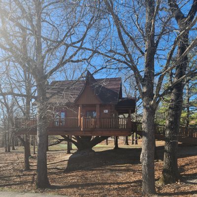 The Treehouz Disc Golf Outpost