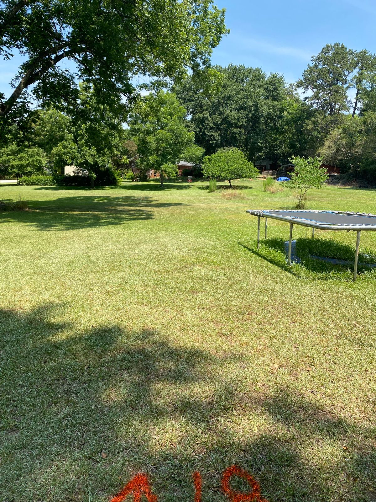 Athens Alley Athens, GA UDisc Disc Golf Course Directory