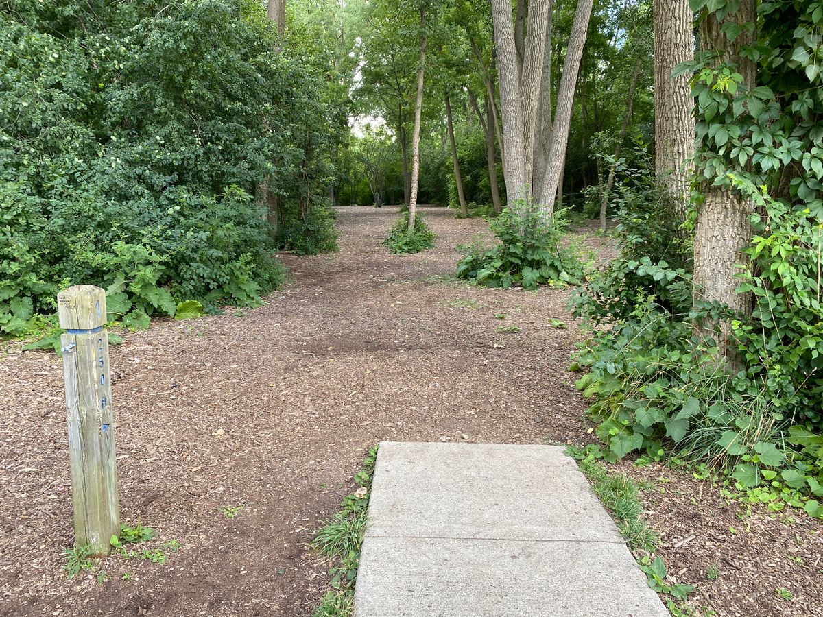 Bandemer Park Ann Arbor, MI UDisc Disc Golf Course Directory UDisc