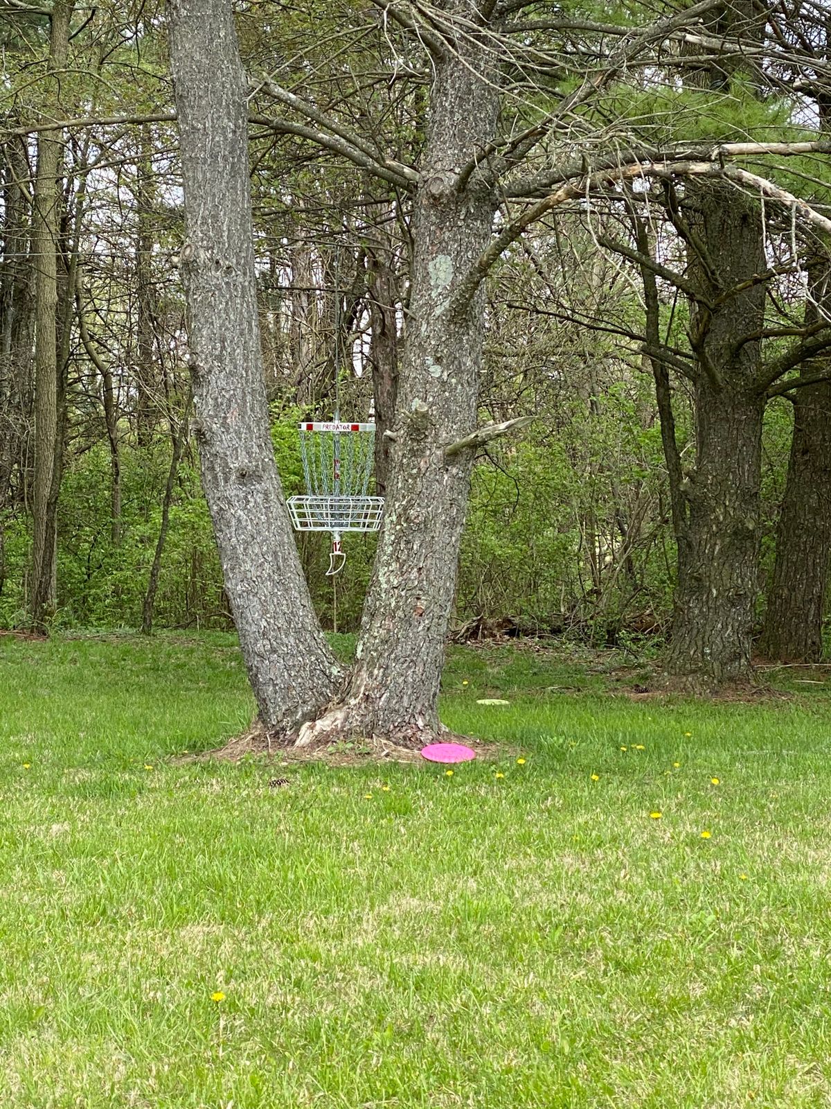 Frank Merry Park Disc Golf Course - Eaton, IN | UDisc Disc Golf Course