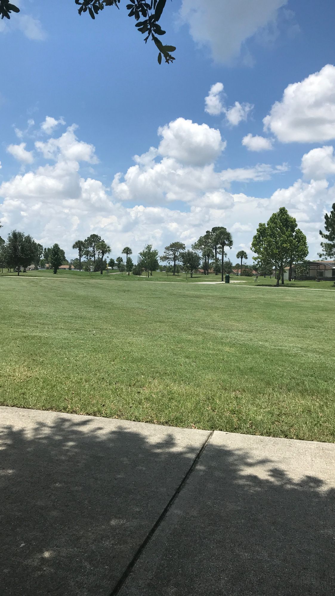 Celebration Disc Golf Your Guide to Disc Golf in Celebration, Florida