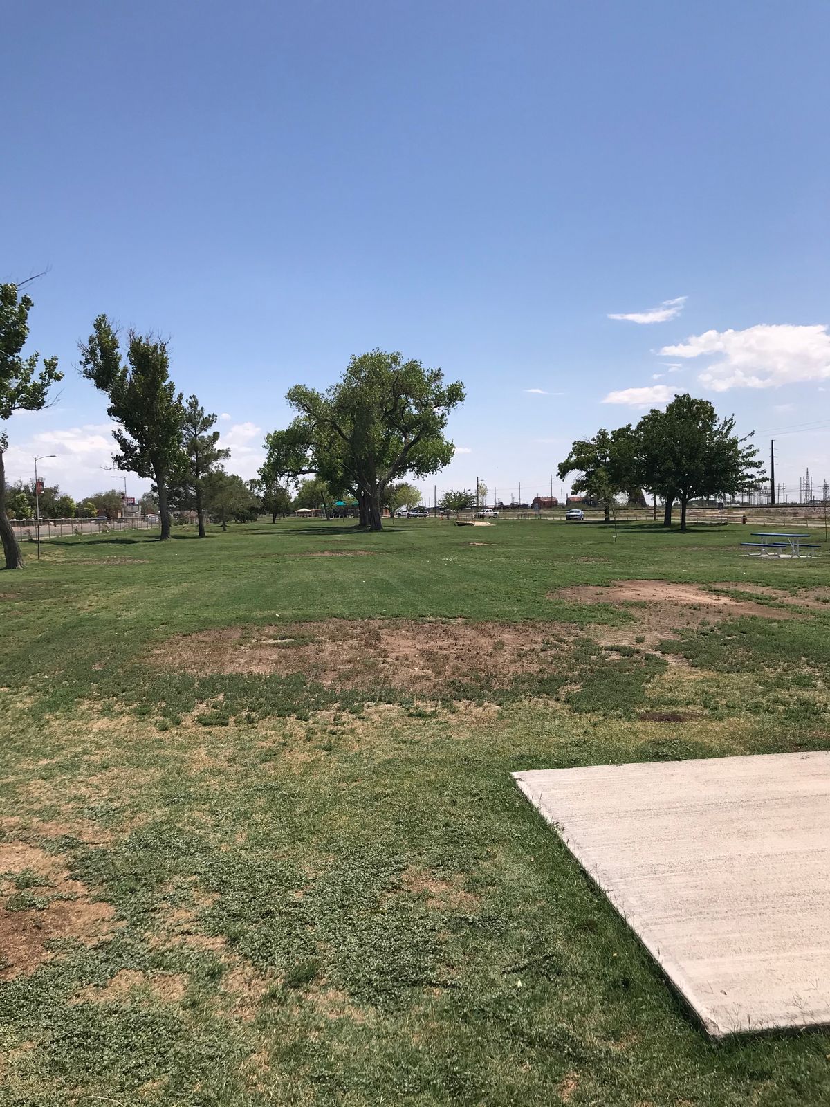 John “RIFF” Riffle Memorial Disc Golf Course Alamogordo, NM UDisc