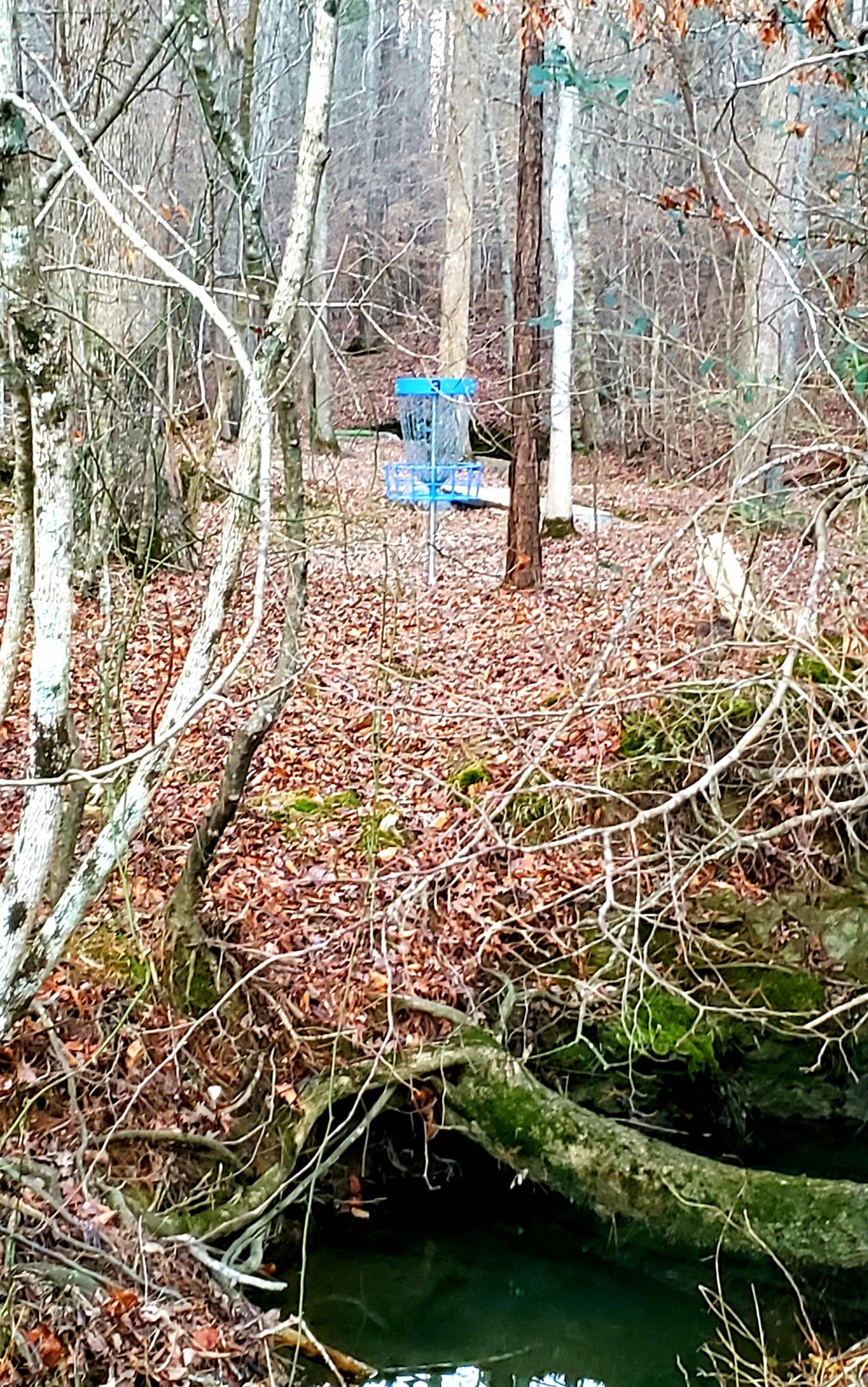 Edwards Park Dalton, GA UDisc Disc Golf Course Directory