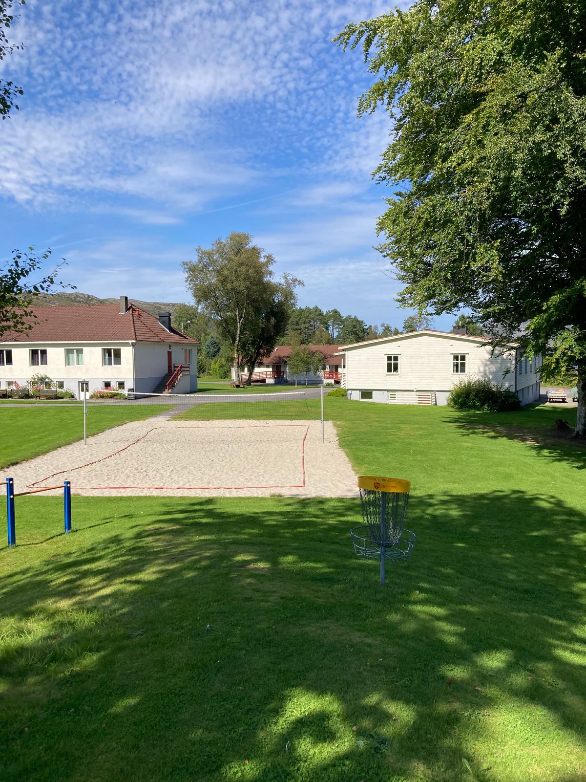 Ideer for å få den innfødte hagen min til å se mer \, image size:1200x1600