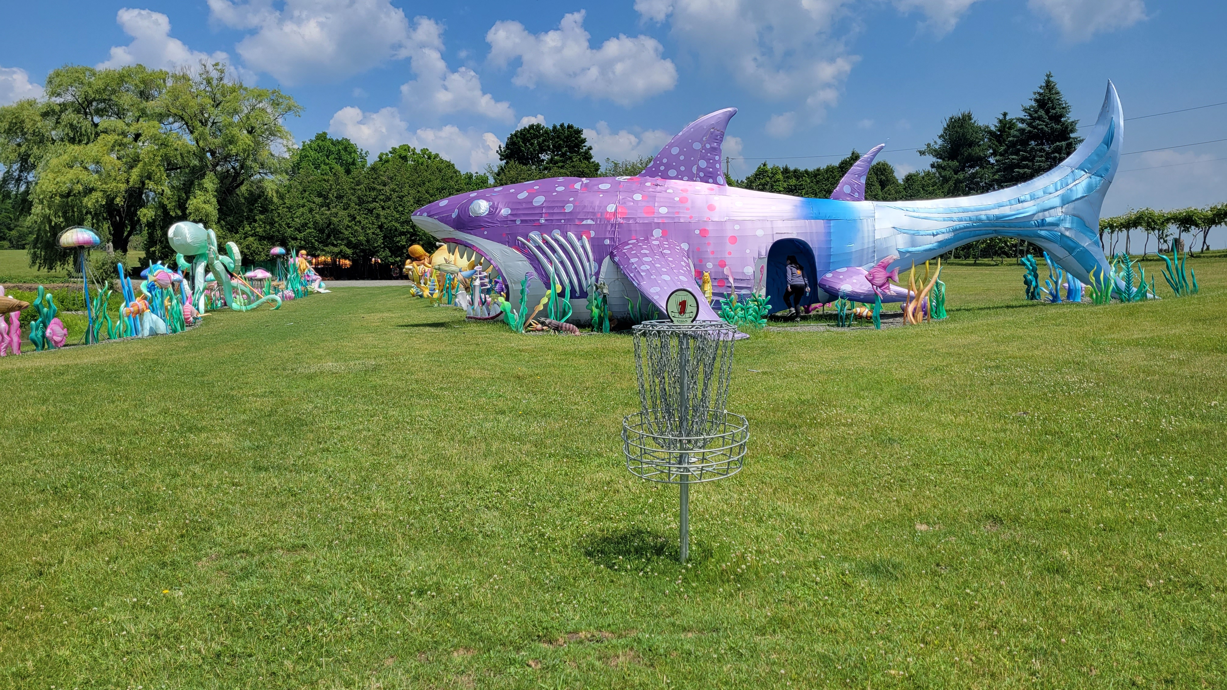 Wild Vines - Watkins Glen, New York | UDisc Disc Golf Course Directory