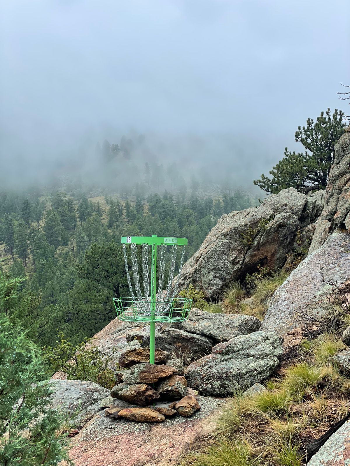 Castle Mountain (CML) Disc Golf Course Estes Park, CO UDisc Disc