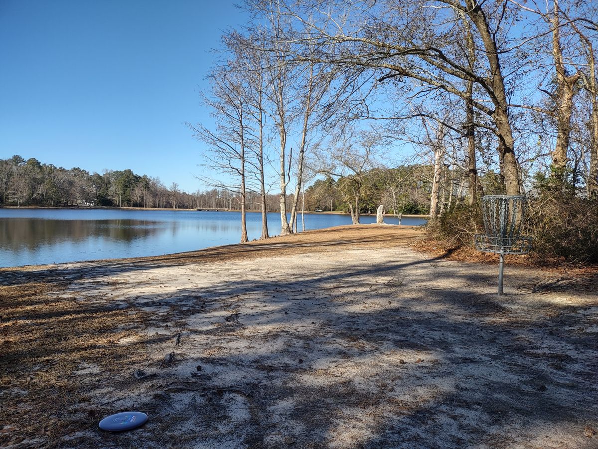 Freedaddy Disc Golf Course At St. Andrews University Laurinburg, NC