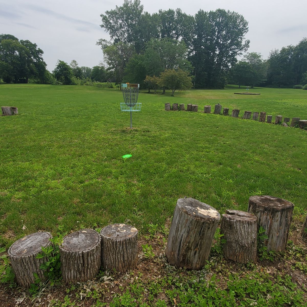 Newfane ProAm/Blarney Stone Newfane, NY UDisc Disc Golf Course