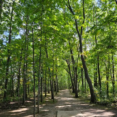 Red Hawk East - Whitmore Lake, Michigan | UDisc Disc Golf Course
