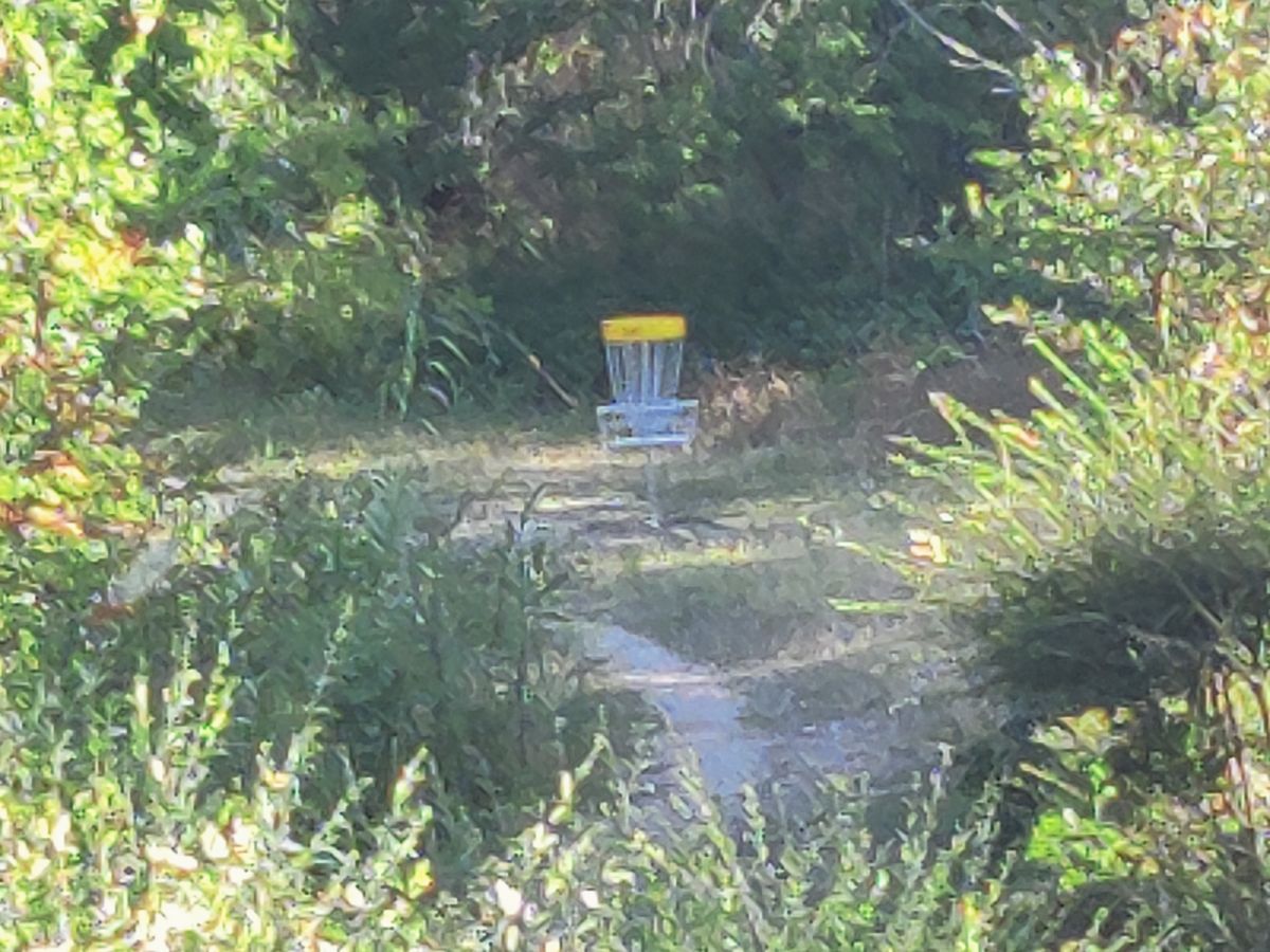 Bartholomew Park DGC Austin, TX UDisc Disc Golf Course Directory UDisc