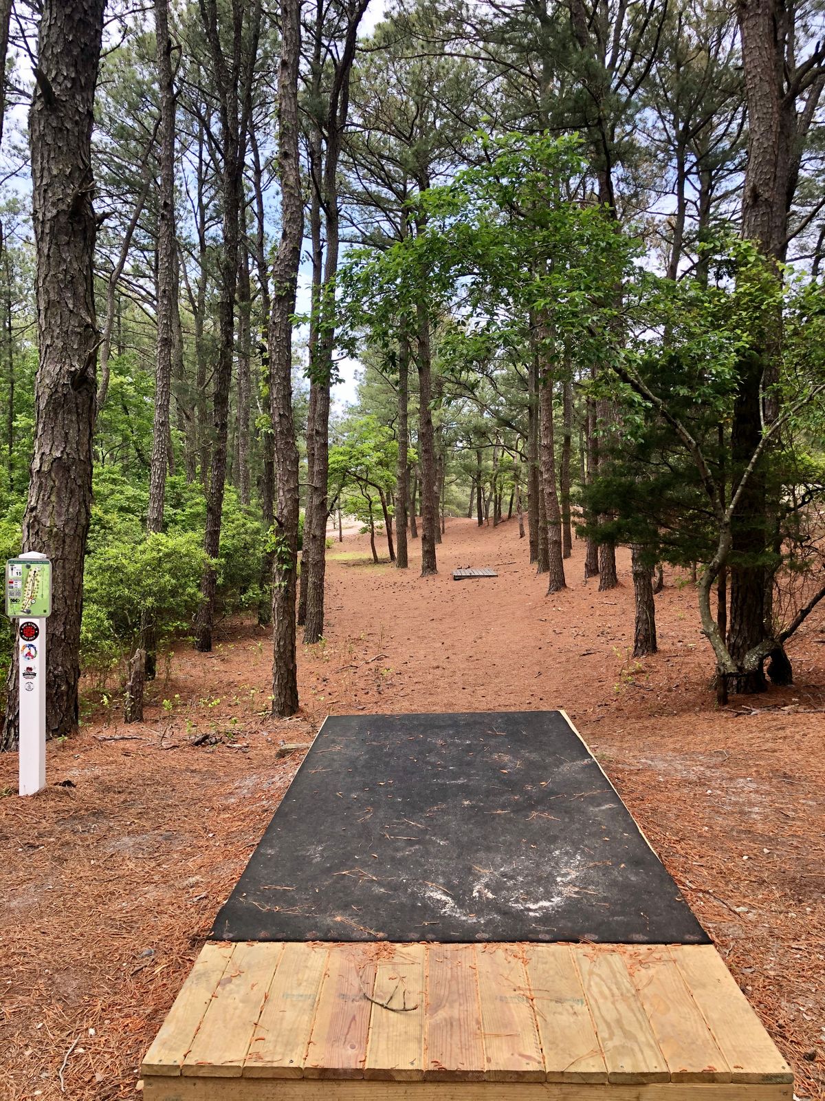 Cape Henlopen State Park DGC Lewes DE UDisc Disc Golf Course 