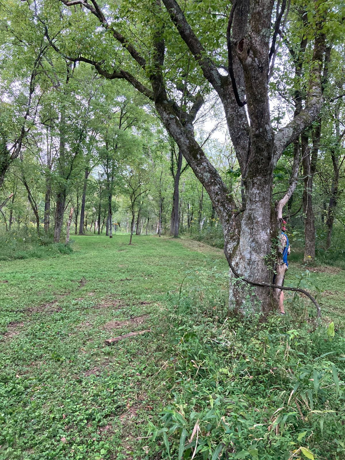 Beech Fork Championship 18 Barboursville, WV UDisc Disc Golf Course