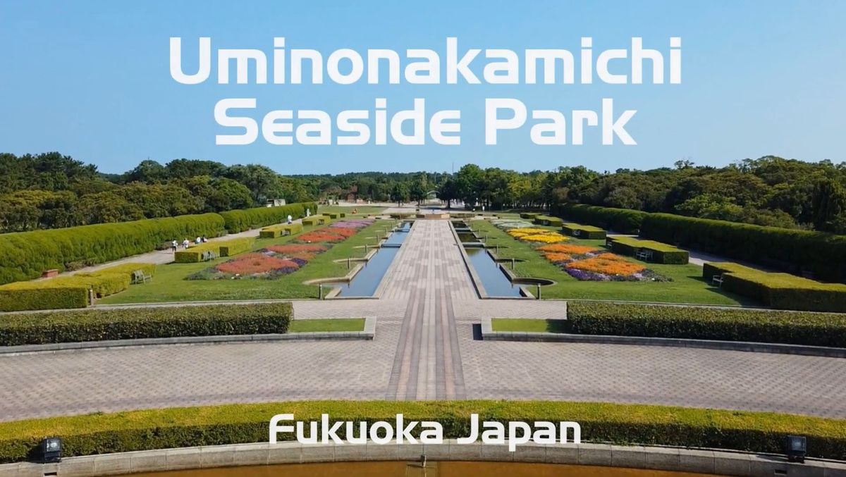 Uminonakamichi Seaside Park Fukuoka, Japan UDisc Disc Golf Course Directory