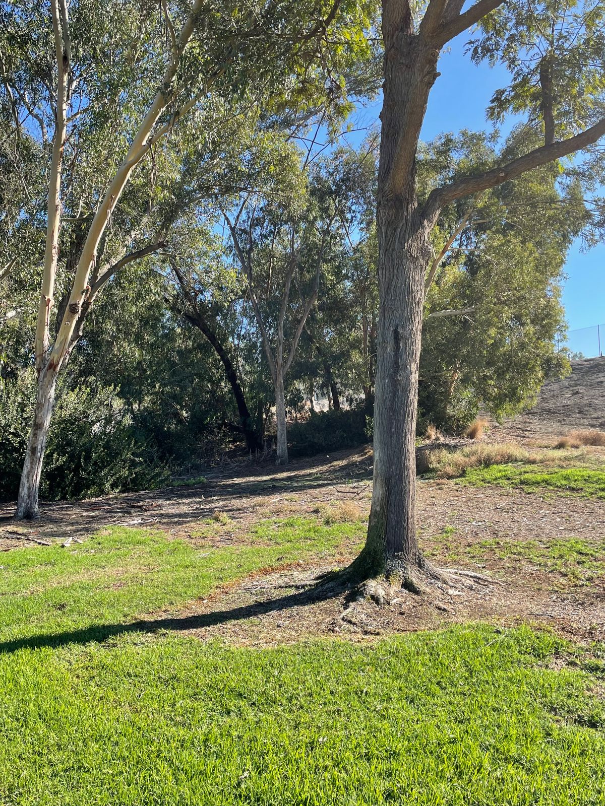 Laguna Niguel Regional Park Laguna Niguel, CA UDisc Disc Golf