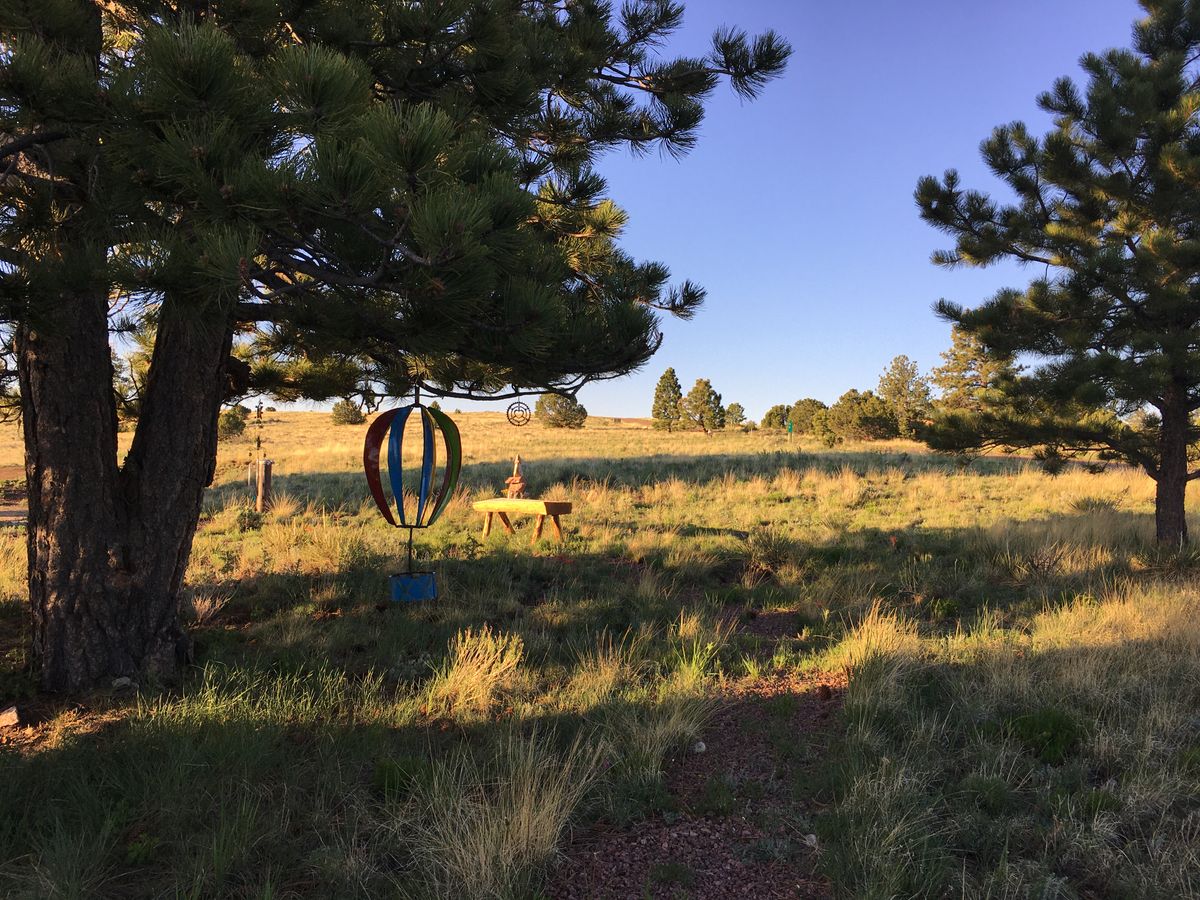 Camp Navajo Westcliffe, Colorado UDisc Disc Golf Course Directory