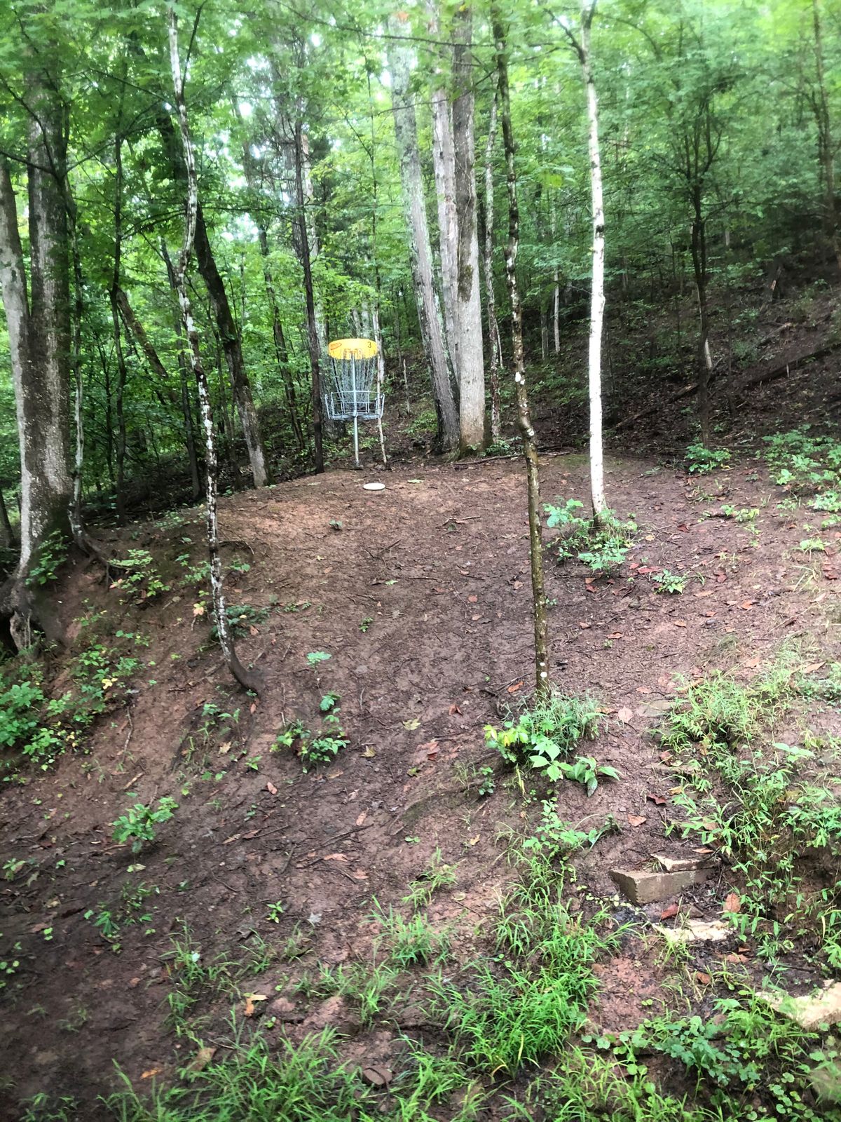 Eleanor Park DGC Eleanor, WV UDisc Disc Golf Course Directory UDisc