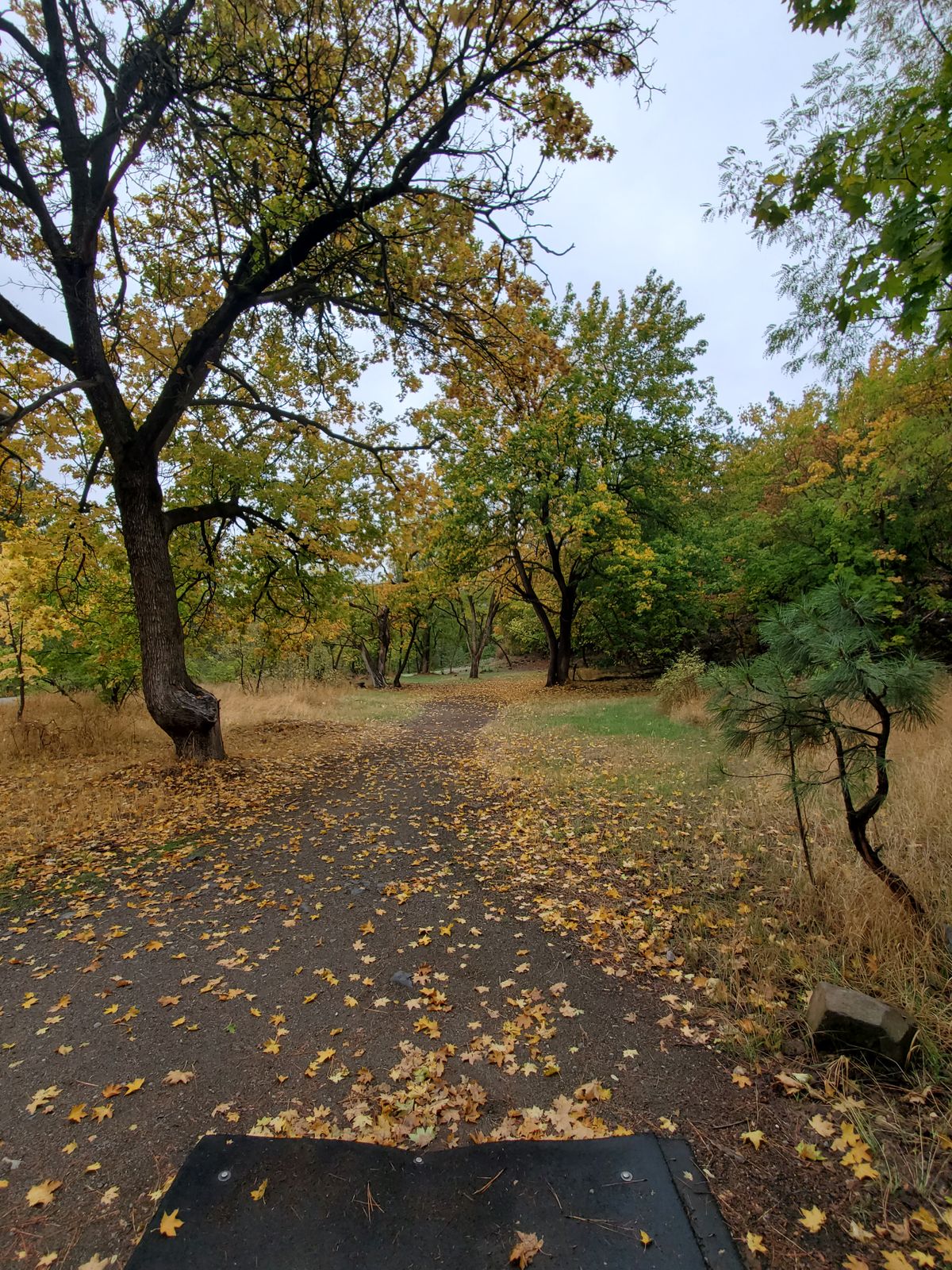 High Bridge Park Spokane, WA UDisc Disc Golf Course Directory