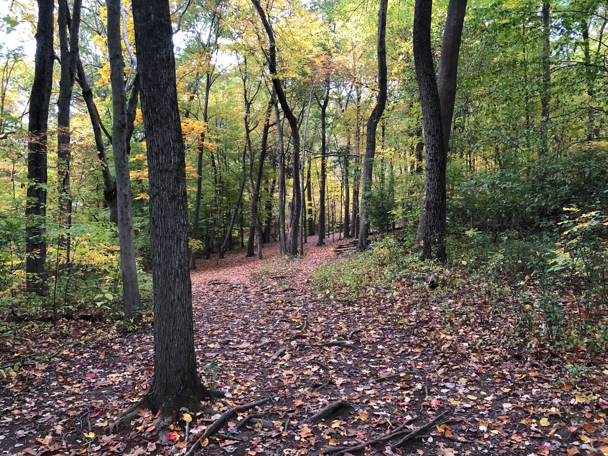 The Flying Ace Lufbery Park Wallingford, CT UDisc Disc Golf