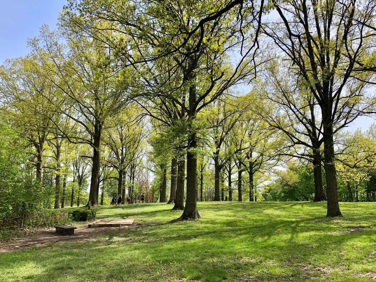 Highland Park Joliet, IL UDisc Disc Golf Course Directory