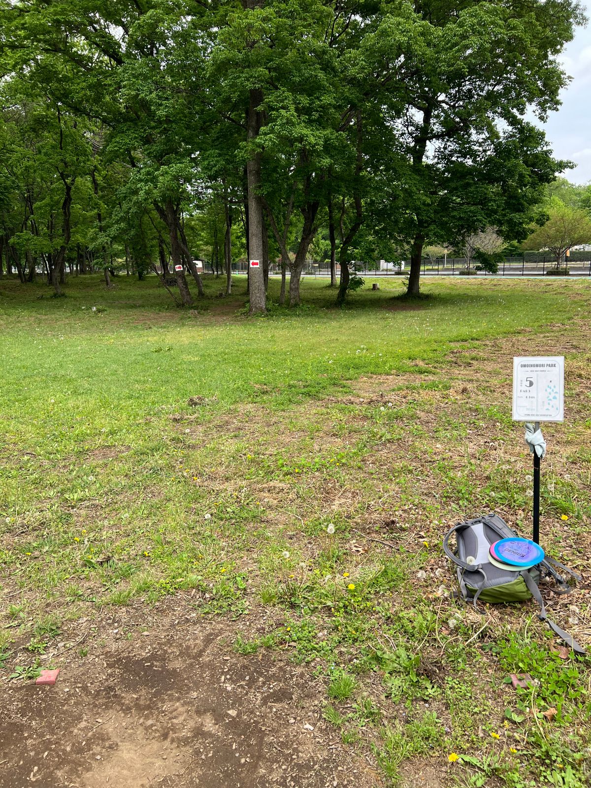 tatebayashi-disc-golf-your-guide-to-disc-golf-in-tatebayashi-japan