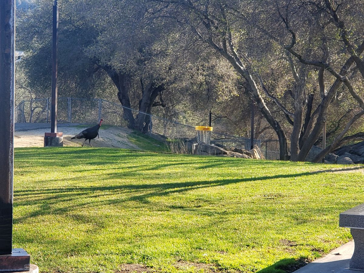 Rivergold Elementary Coarsegold, CA UDisc Disc Golf Course Directory