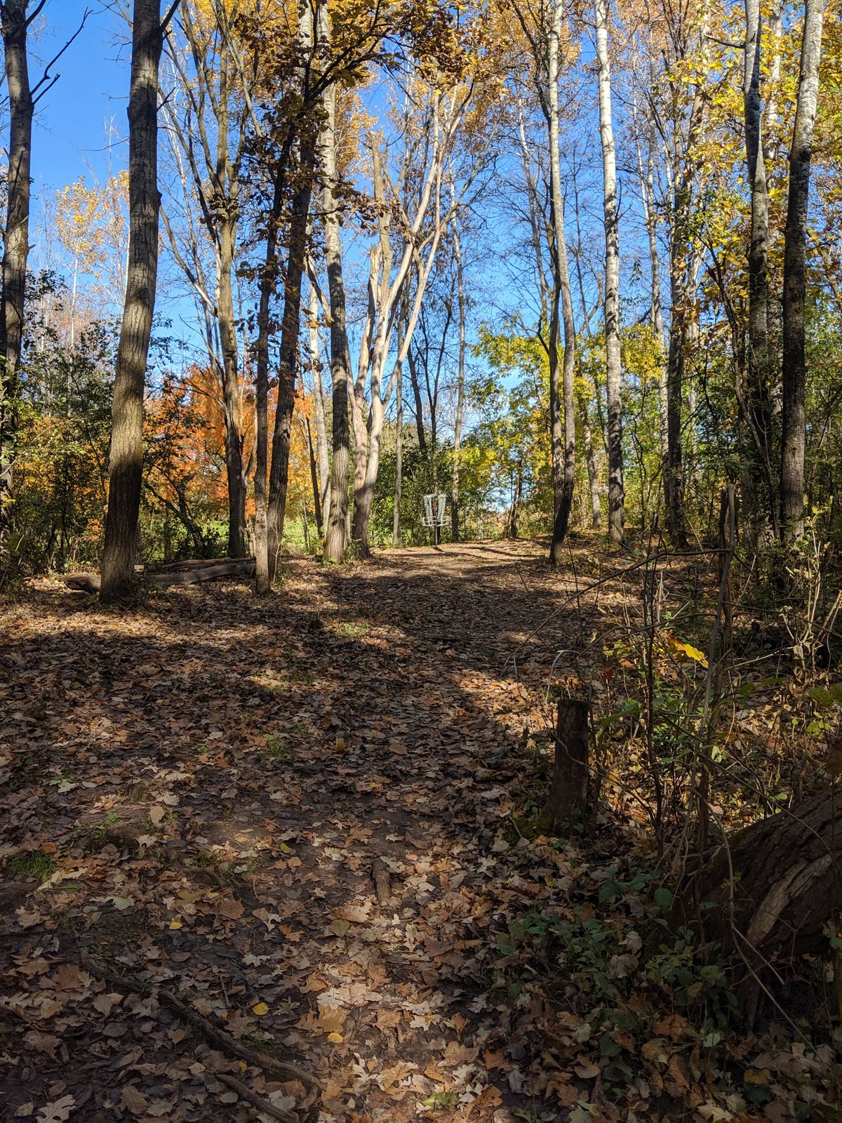 Lakewood Hills White Bear Lake, MN UDisc Disc Golf Course Directory