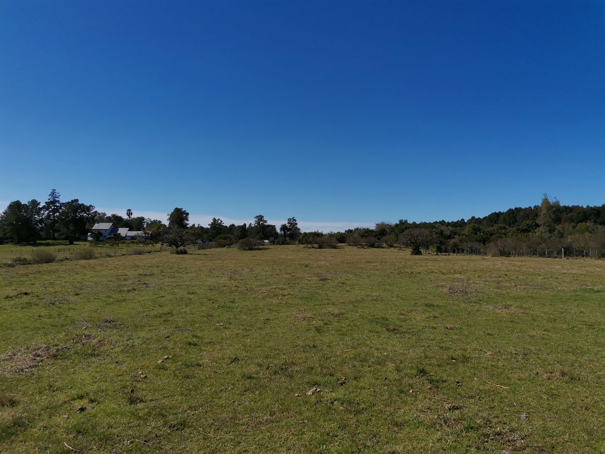 Primer Campo De Disc Golf De Uy Parador Tajes, Uruguay UDisc Disc