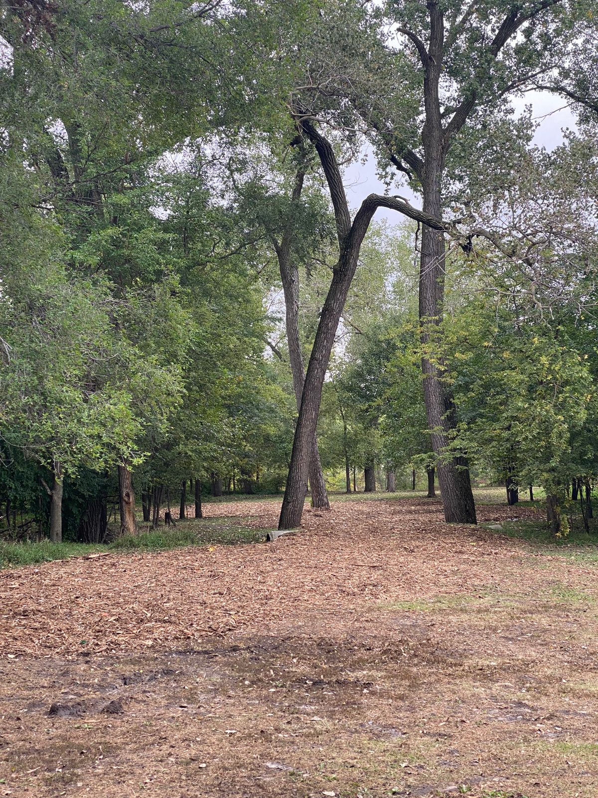 River Run Norfolk, NE UDisc Disc Golf Course Directory