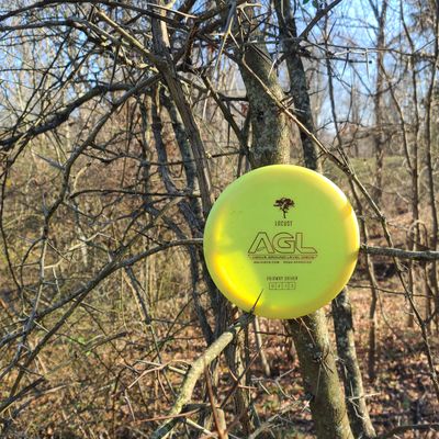 When purchased through the agldiscs website. Each disc comes with a corresponding tree seed. Here is a Locust 9/4/-1/3 on a locust.