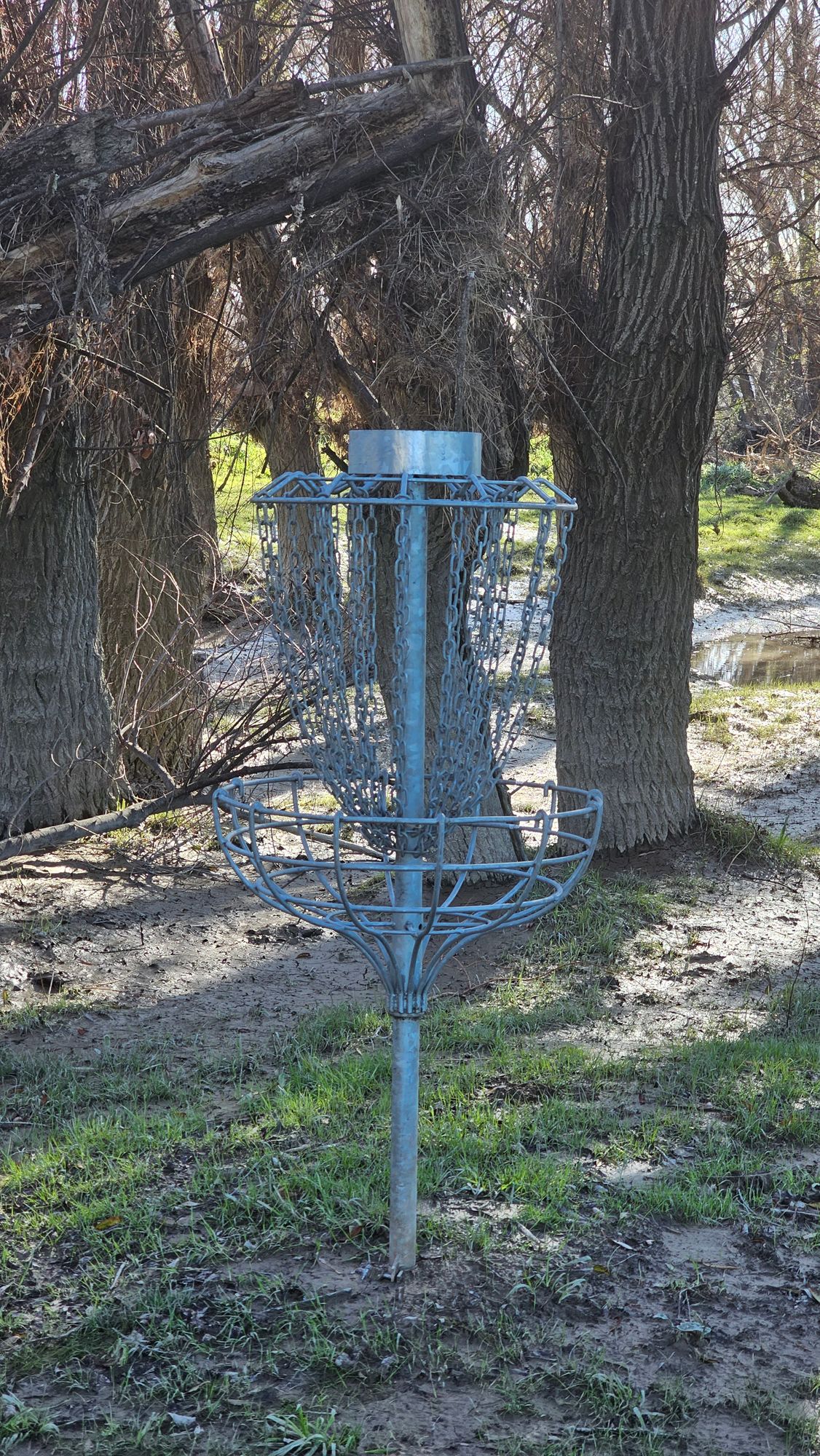Blackbridge Disc Golf Course Haumoana, New Zealand UDisc Disc Golf