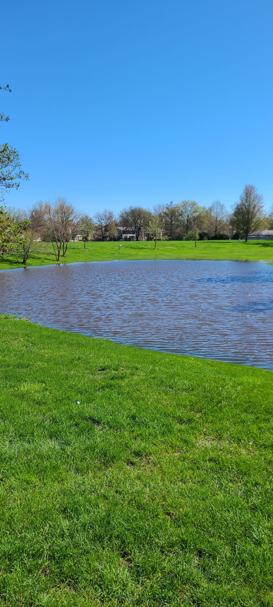 Patriots Park Homewood, IL UDisc Disc Golf Course Directory