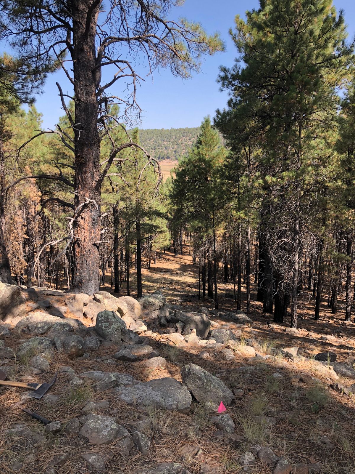 Lake Mary Meadows Flagstaff, AZ UDisc Disc Golf Course Directory