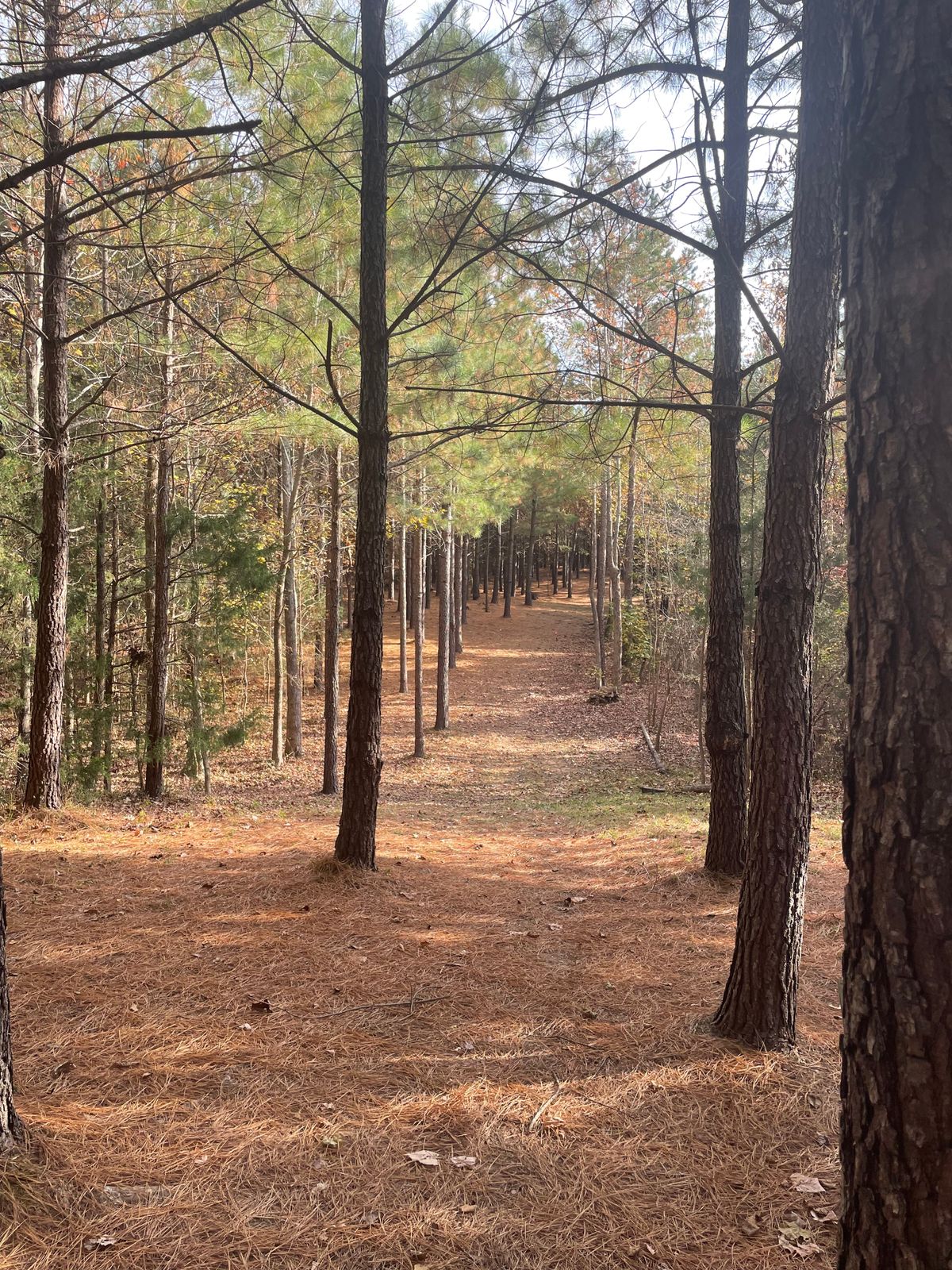 The Horse Course Indian Trail, North Carolina UDisc Disc Golf Course Directory