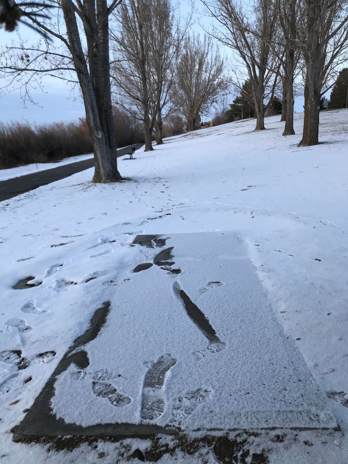 Freeman Park Idaho Falls, ID UDisc Disc Golf Course Directory UDisc