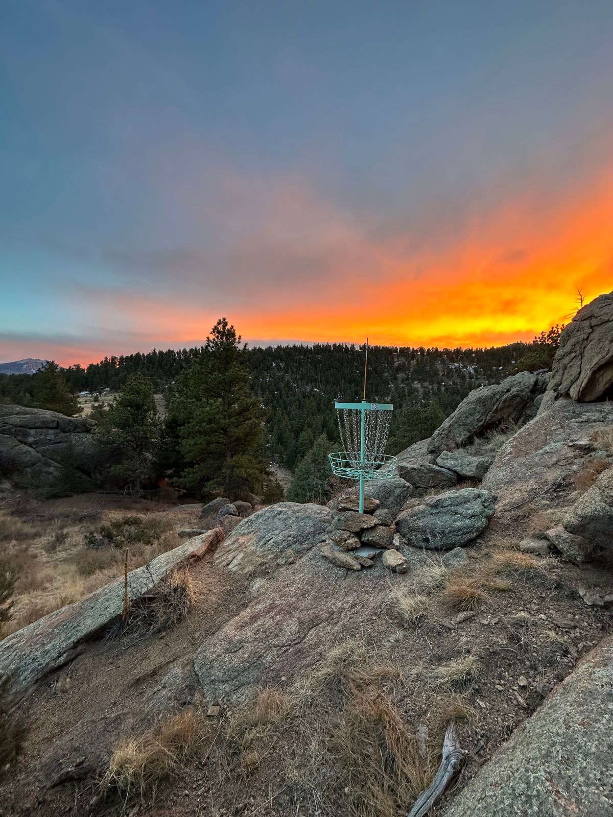 Castle Mountain (CML) Disc Golf Course Estes Park, CO UDisc Disc