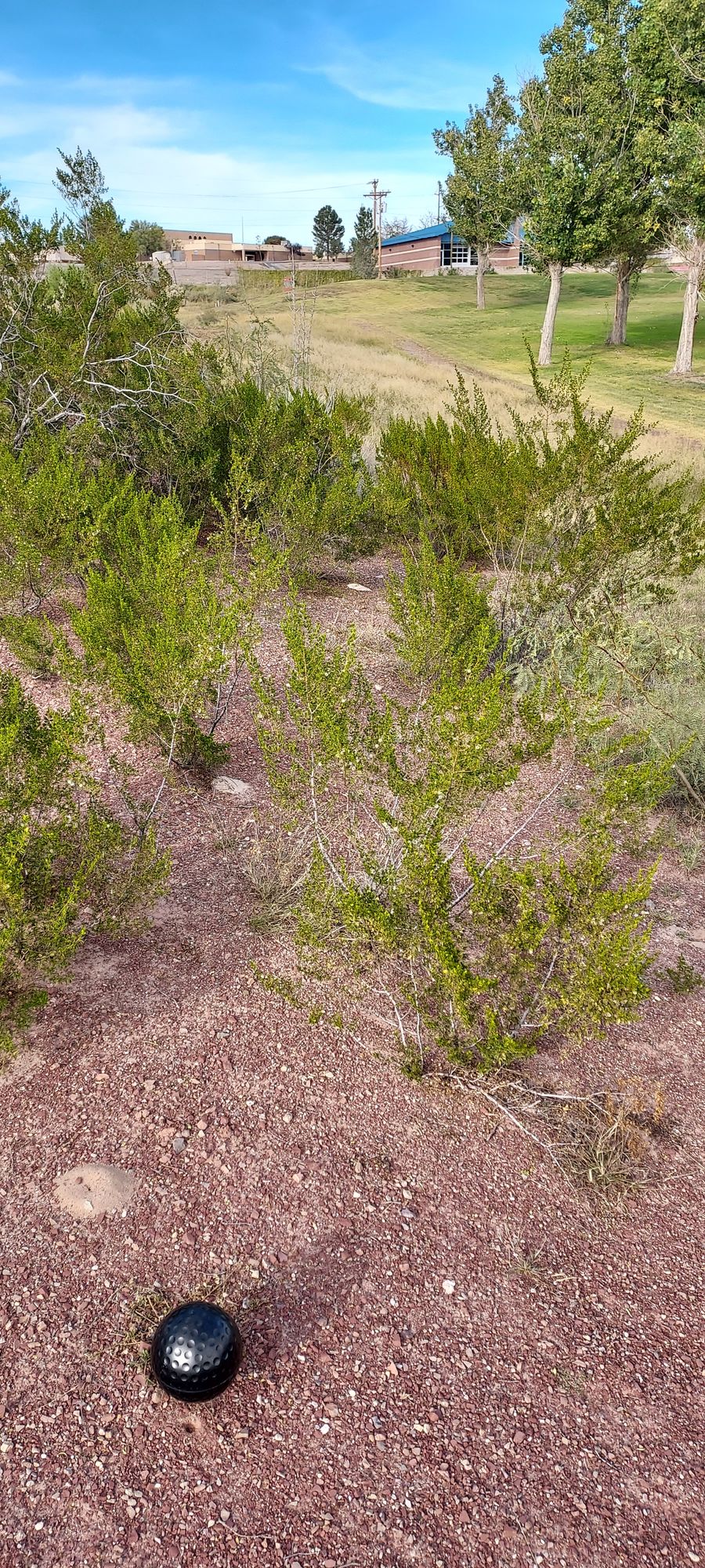 Truth Or Consequences Muni Truth or Consequences, NM UDisc Disc Golf Course Directory UDisc